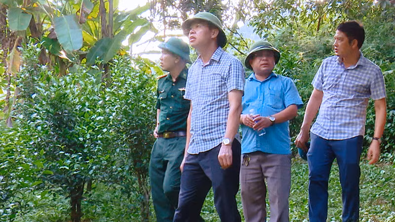 Các cán bộ vùng thượng du Thanh Hóa khảo sát, tìm địa điểm tái định cư cho các hộ ở khu vực nguy cơ cao xảy ra sạt, lở đất.