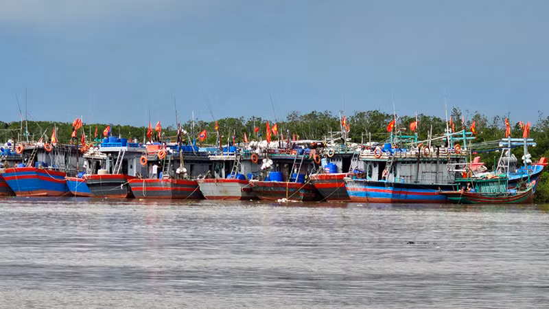 Tàu thuyền neo đậu trong lạch Trường, phía huyện Hậu Lộc, tỉnh Thanh Hóa.