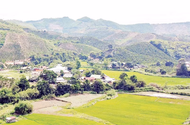 Một trong số 5 cụm dân di cư ngoài quy hoạch tại xã Đắk R’Măng, huyện Đắk Glong (Đắk Nông).