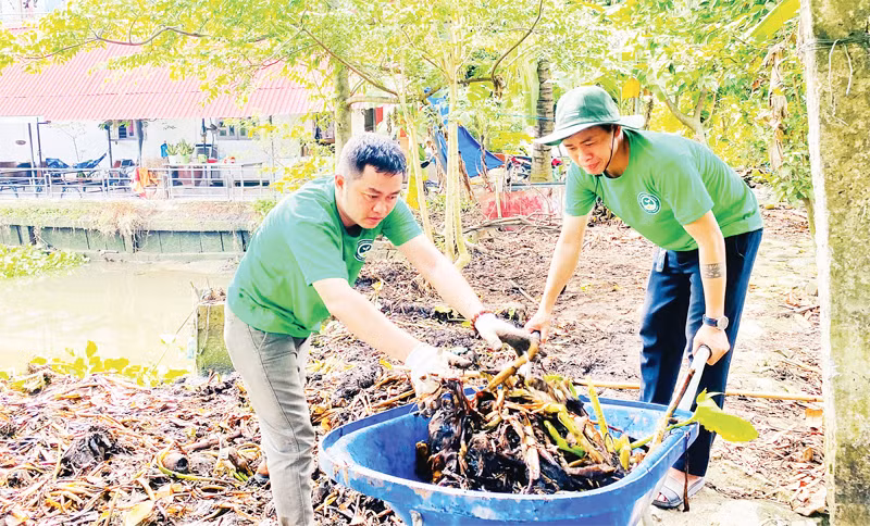 Khu vườn thí điểm của dự án "Vườn xanh cộng đồng" tại Củ Chi bắt đầu được triển khai.