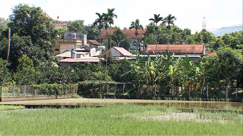 Xây dựng nông thôn mới là nhiệm vụ của cả hệ thống chính trị.