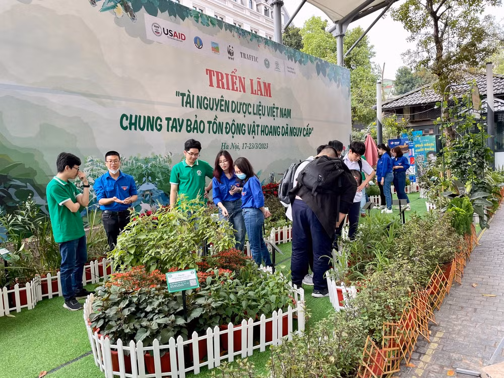 Một góc mô hình vườn cây thuốc tại Phố Sách Hà Nội. Một góc mô hình vườn cây thuốc tại Phố Sách Hà Nội.