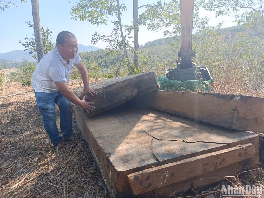 Nhiều phản gỗ có kích thước lớn được tìm thấy tại điểm tập kết đầu tiên.