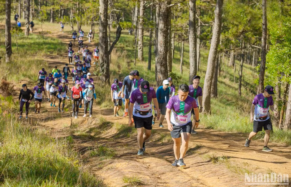 Các vận động viên tham gia giải Dalat Ultra Trail lần thứ 4. 