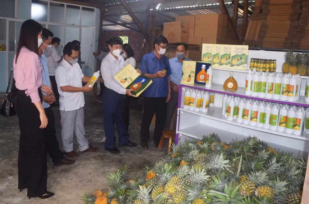 Khách tham quan các sản phẩm OCOP được làm từ quả khóm của Hợp tác xã nông nghiệp kinh doanh tổng hợp Đồng Din, huyện Phú Hòa, Phú Yên.
