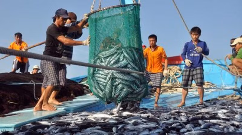 Từ ngày 10-18/10/2023, Đoàn thanh tra EC lần 4 sẽ sang Việt Nam kiểm tra kết quả triển khai các khuyến nghị của Ủy ban châu Âu (EC) về chống khai thác IUU.