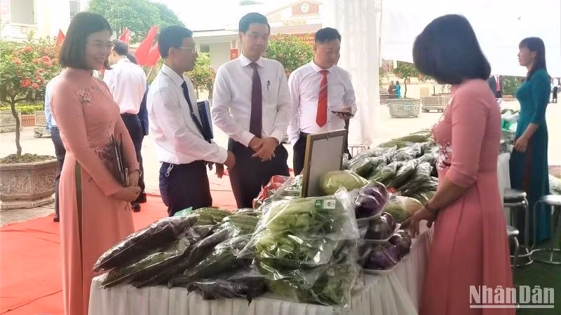 Văn Đức nổi tiếng với vùng sản xuất rau an toàn. (Ảnh: VĂN ANH)