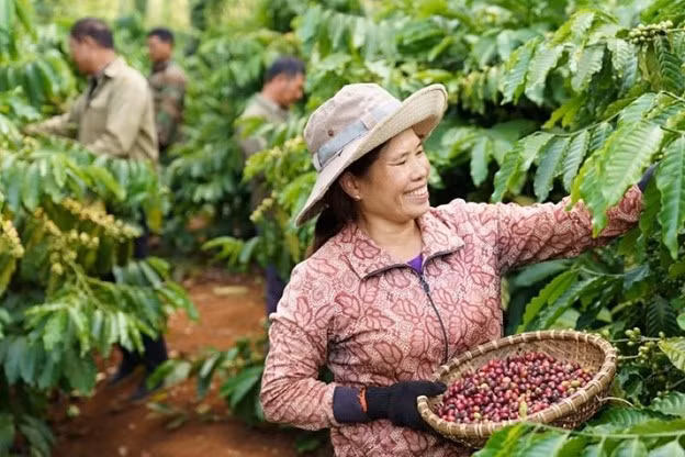 Phát triển nông nghiệp tái sinh, tăng năng suất, giảm phát thải là ưu tiên hàng đầu của Nestlé.