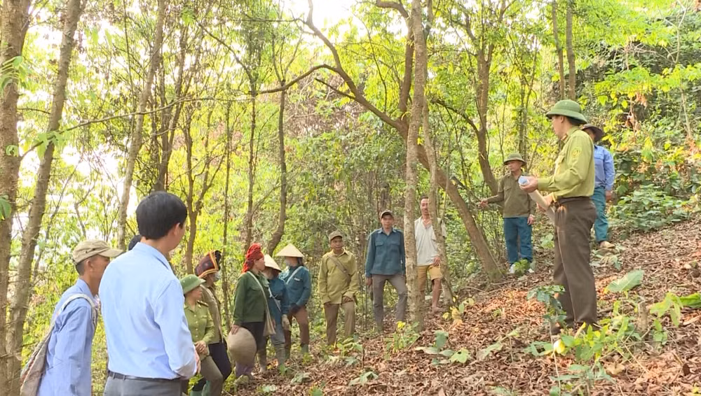 Điện Biên quan tâm tuyên truyền chính sách dịch vụ môi trường rừng