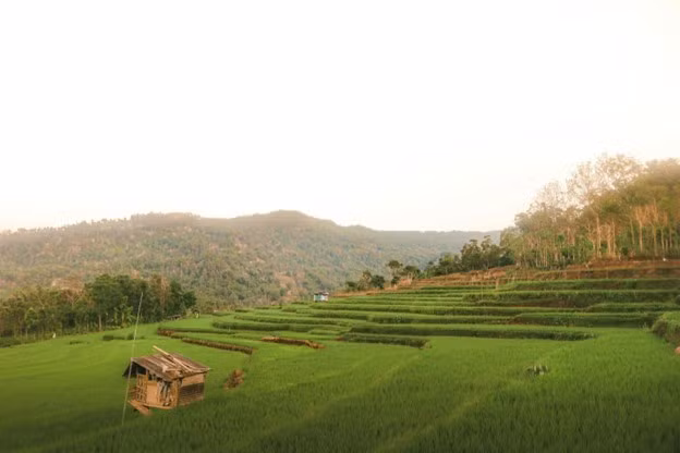 Kalegowa, Indonesia. (Ảnh:Unsplash/Muh Fikry Rezky)
