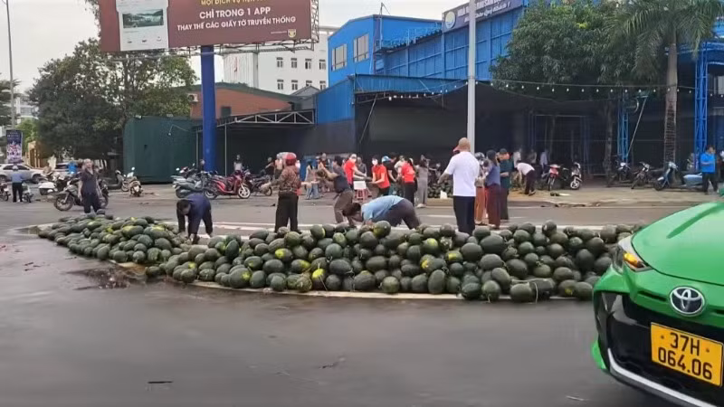 Rất đông người dân hỗ trợ tài xế thu gom dưa hấu. (Ảnh cắt từ video clip)