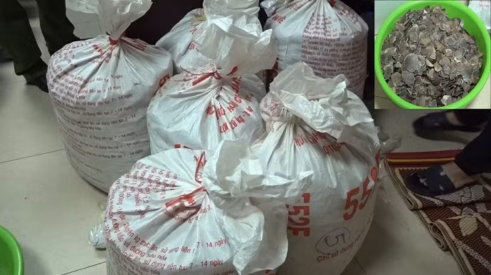Chuyên án thu giữ 1,6 tạ vẩy tê tê cùng các tang vật khác.
