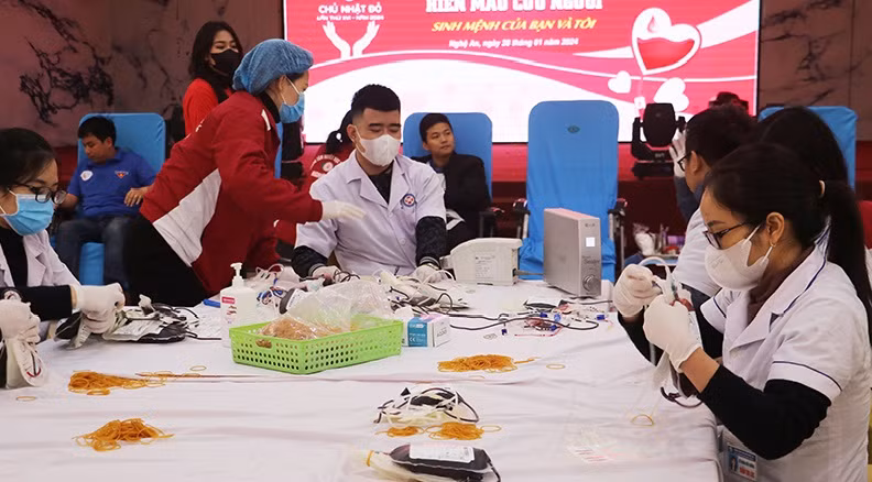 Ban tổ chức phân loại các đơn vị máu thu được. Ảnh Phan Quỳnh Ban tổ chức phân loại các đơn vị máu thu được. Ảnh Phan Quỳnh