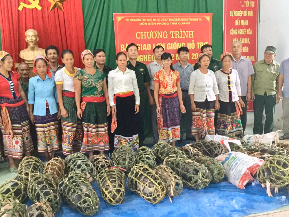 Đồn biên phòng Tam Quang giúp đồng bào lợn giống.