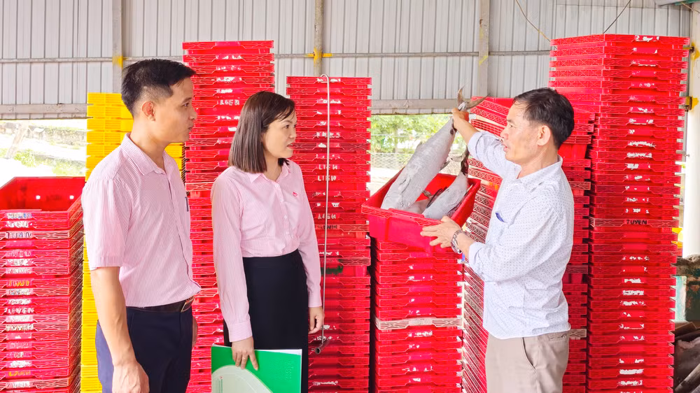 Cơ sở thu mua, chế biến thủy hải sản của anh Lê Hảo ở thôn Xuân Tiến, xã Gio Việt tạo việc làm cho nhiều lao động có thu nhập ổn định.