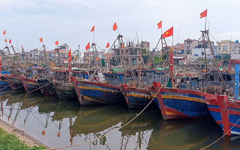 Tàu thuyền của ngư dân huyện Thái Thụy, tỉnh Thái Bình vào nơi tránh trú an toàn. (Ảnh MAI TÚ)