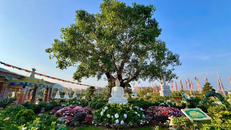 Quang cảnh bình yên mùa Phật đản.