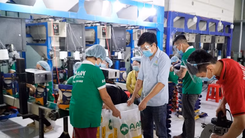 Năm 2025, xuất khẩu gạo của Việt Nam gặp nhiều thách thức do nguồn cung toàn cầu tăng.