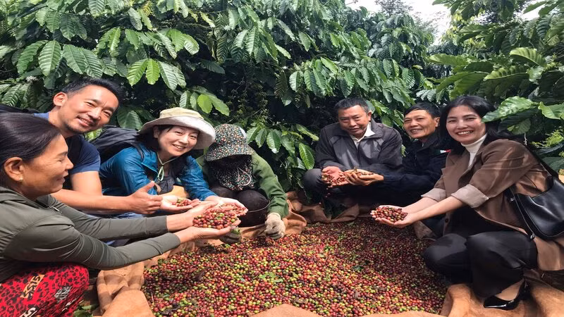Cà-phê là một trong những nông sản Việt Nam xuất khẩu nhiều vào thị trường ASEAN.