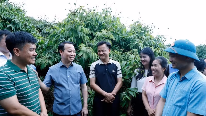 Bộ trưởng Nông nghiệp và Môi trường Đỗ Đức Duy trao đổi với chủ vườn vải, cán bộ khuyến nông, doanh nghiệp thu mua vải thiều tại huyện Tân Yên, tỉnh Bắc Giang. (Ảnh: KHƯƠNG TRUNG)