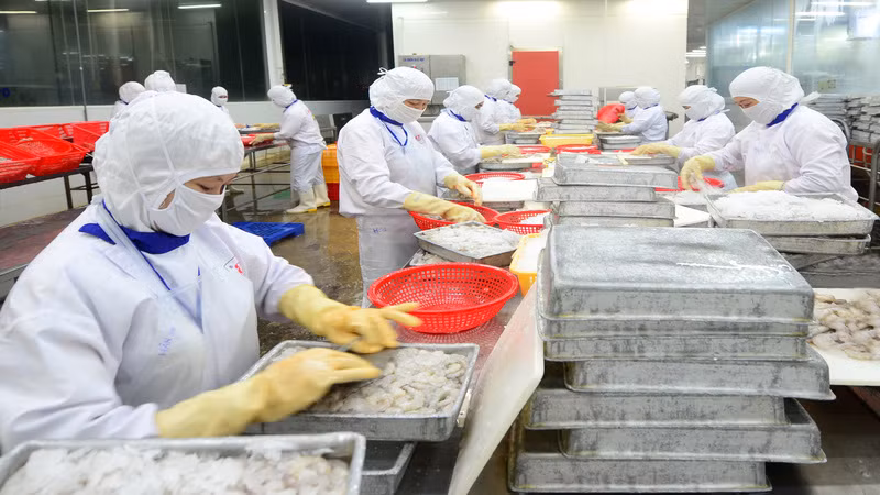 Các sản phẩm tôm giá trị gia tăng có xu hướng tăng trưởng tốt tại thị trường EU.
