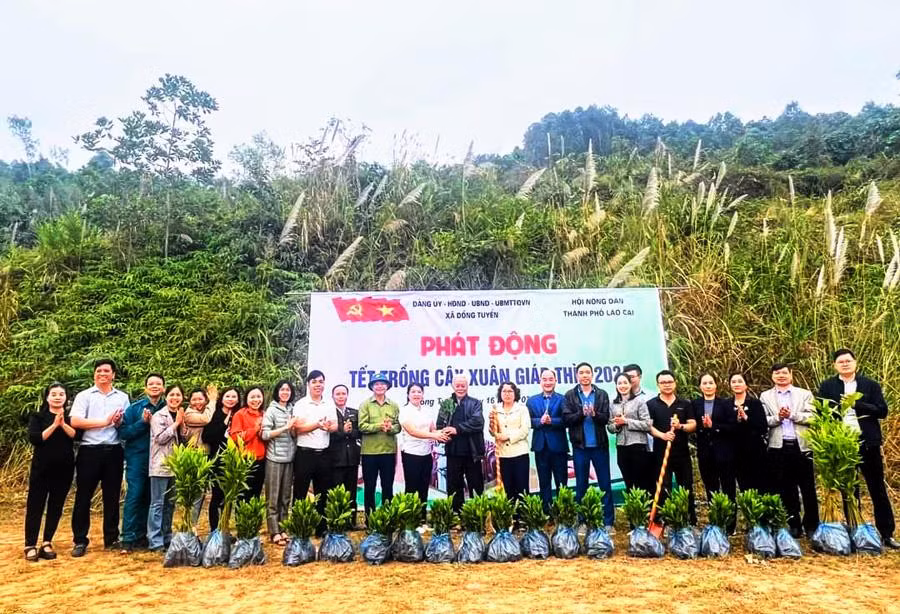 Các xã, phường địa phương tại Lào Cai hưởng ứng tích cực "Tết trồng cây".