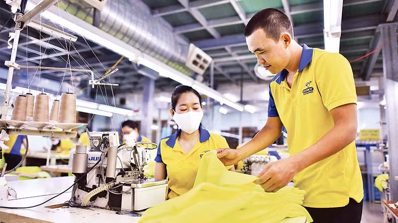 Công ty Dony tăng ca đến hết năm vì có thêm đơn hàng từ những thị trường mới.