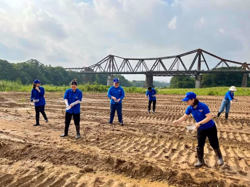 Thanh niên tình nguyện quận Ba Đình cải tạo đất, gieo giống cây tạo không gian xanh. Ảnh: Duy Minh. Thanh niên tình nguyện quận Ba Đình cải tạo đất, gieo giống cây tạo không gian xanh. Ảnh: Duy Minh.