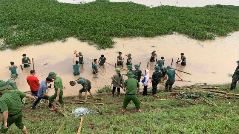 Các đơn vị đóng cọc tre, chống sạt trượt mái đê sông Hồng, đoạn trên địa bàn xã Đường Lâm.