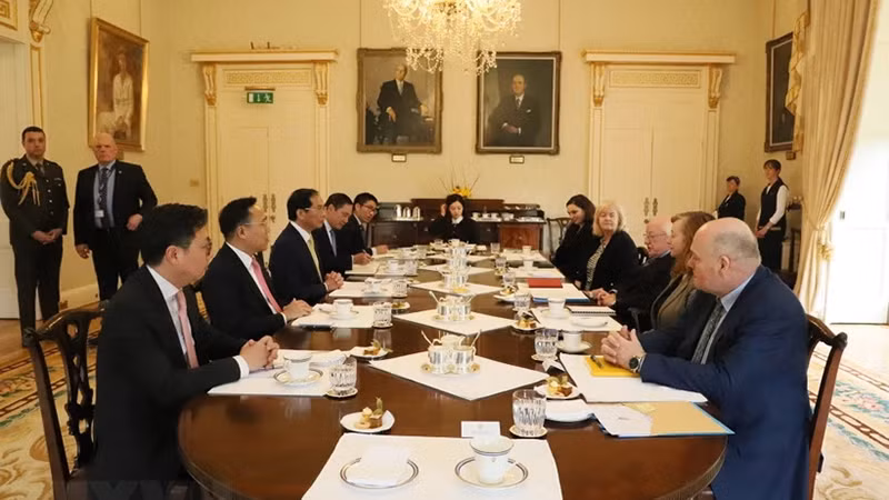 Bộ trưởng Ngoại giao Bùi Thanh Sơn hội kiến Tổng thống Ireland Michael D. Higgins. Ảnh: TTXVN