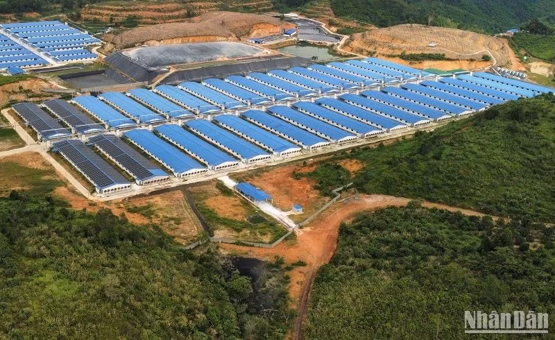Qua công tác thanh tra, Sở Tài nguyên và Môi trường Đắk Nông đã tham mưu Chủ tịch Ủy ban nhân dân tỉnh quyết định xử phạt nhiều trại nuôi heo trên địa bàn vì vi phạm quy định bảo vệ môi trường.