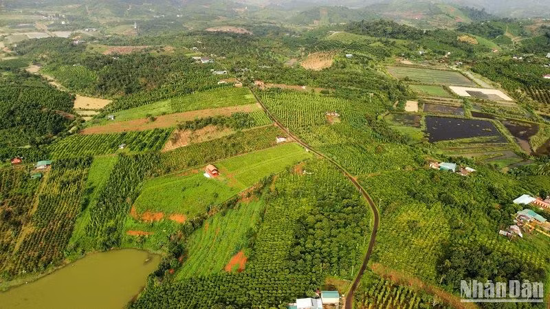 Để công tác quản lý nhà nước về đất đai chặt chẽ, bảo đảm đất đai được sử dụng hợp lý, đạt hiệu quả thì cần tăng cường công tác thanh tra, kiểm tra chấn chỉnh kịp thời, bảo đảm sử dụng đất đúng mục đích được giao. Để công tác quản lý nhà nước về đất đai chặt chẽ, bảo đảm đất đai được sử dụng hợp lý, đạt hiệu quả thì cần tăng cường công tác thanh tra, kiểm tra chấn chỉnh kịp thời, bảo đảm sử dụng đất đúng mục đích được giao.