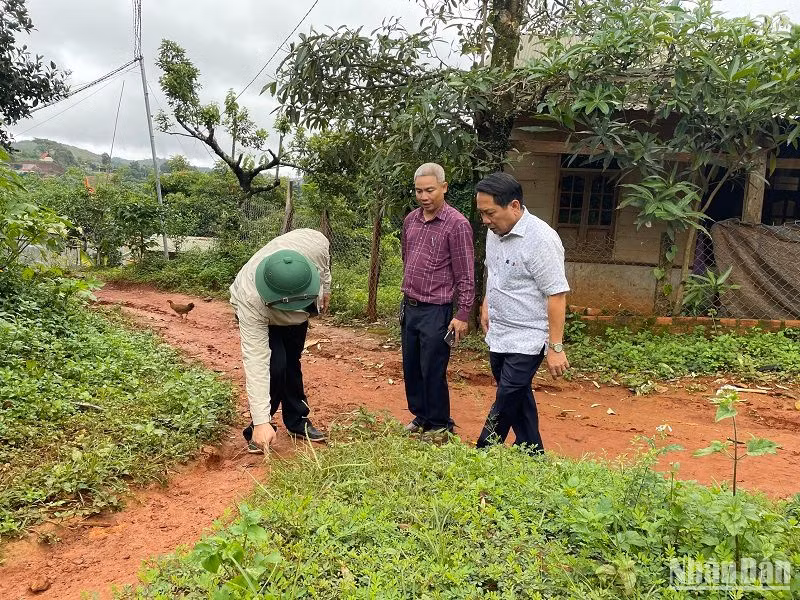 Lãnh đạo huyện Tuy Đức và xã Quảng trực kiểm tra hiện trường vụ nứt gãy địa chất.