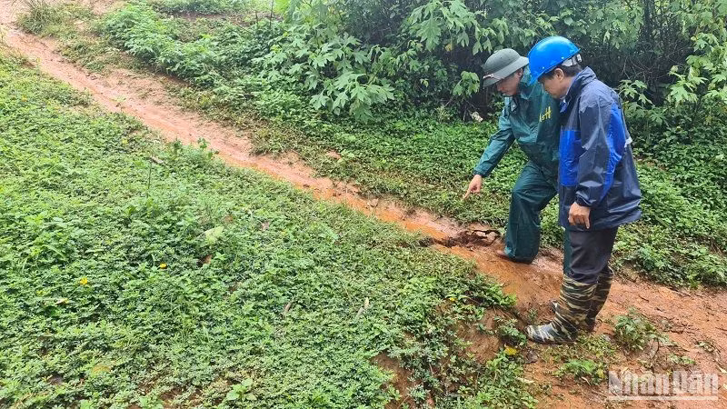 Các đường nứt trên địa bàn bon Bu Krắc đã kéo dài đến bon Bu Prăng 1A, cách chân đập thủy lợi Đắk Ké khoảng 300m, có tổng chiều dài các vết nứt khoảng 540m. Các đường nứt trên địa bàn bon Bu Krắc đã kéo dài đến bon Bu Prăng 1A, cách chân đập thủy lợi Đắk Ké khoảng 300m, có tổng chiều dài các vết nứt khoảng 540m.