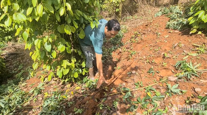 Mái đồi bên trái hồ chứa xuất hiện nhiều vết nứt gãy mặt đất với phạm vi lớn, có tổng chiều dài khoảng 500-700m, khe nứt rộng khoảng 5cm-20cm, độ sâu từ 1-2m và đang có dấu hiệu lan rộng thêm. Mái đồi bên trái hồ chứa xuất hiện nhiều vết nứt gãy mặt đất với phạm vi lớn, có tổng chiều dài khoảng 500-700m, khe nứt rộng khoảng 5cm-20cm, độ sâu từ 1-2m và đang có dấu hiệu lan rộng thêm.