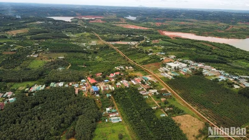Đắk Nông Kiên quyết thu hồi đất đã có kết luận thanh tra vi phạm Luật đất đai, đất đã giao, thuê nhưng quản lý, sử dụng đất không hiệu quả để giao về địa phương quản lý và thực hiện giao đất, cho thuê đất theo quy định, phù hợp với điều kiện thực tế trên địa bàn tỉnh.