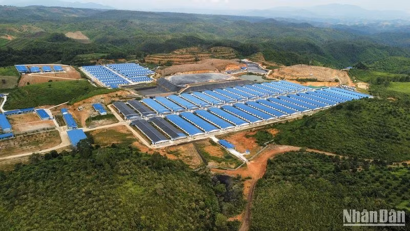 Công ty TNHH Chăn nuôi Quảng Sơn bị xử phạt hành chính 110 triệu đồng vì đã vi phạm các quy định về xả nước thải ra môi trường.