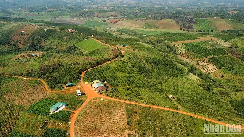 Đắk Nông đã phê duyệt Quy hoạch sử dụng đất đến năm 2030 và Kế hoạch sử dụng đất năm 2023 của 8/8 huyện, thành phố Gia Nghĩa.