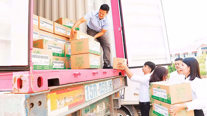 Nông nghiệp Tuyên Quang một năm "vượt bão" thành công