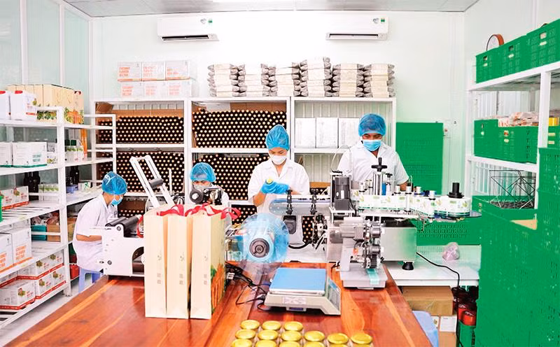 Công ty TNHH Trà Vinh FARM (tỉnh Trà Vinh) sản xuất mật hoa dừa ứng dụng công nghệ cao. (Ảnh LÝ LONG) 