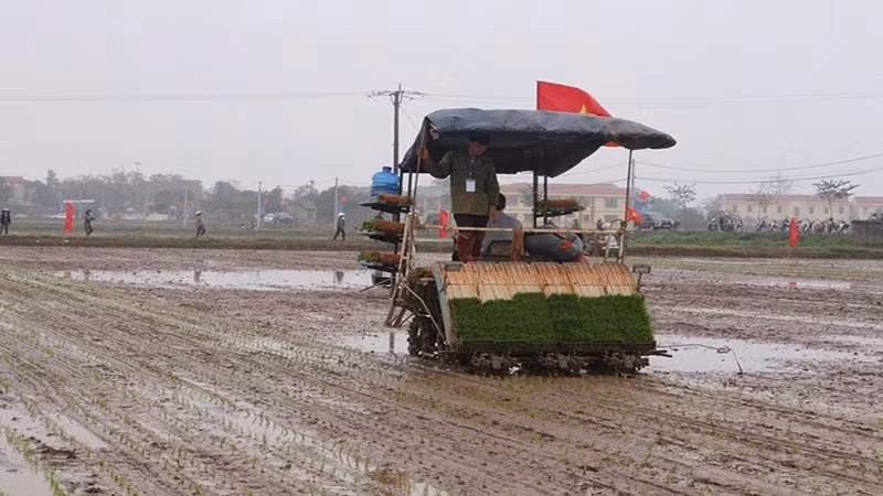 Vận hành máy cấy tại Hà Nam. Ảnh: ĐÀO PHƯƠNG