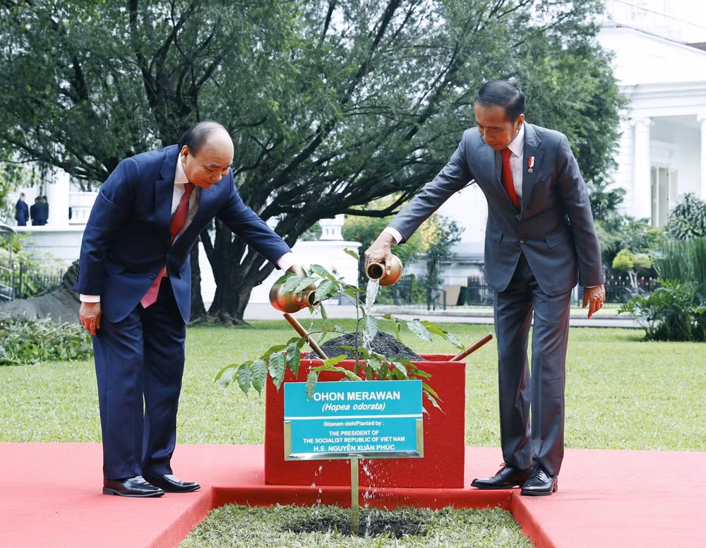 Trong chuyến thăm, Tổng thống Joko Widodo đã mời Chủ tịch nước Nguyễn Xuân Phúc trồng cây sao đen tại Dinh Tổng thống, gửi gắm kỳ vọng cây mau lớn, ngày càng xanh tốt. 