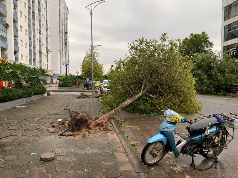 Khẩn trương khắc phục hậu quả, cứu người mắc kẹt, mất tích trong bão số 3 ảnh 11