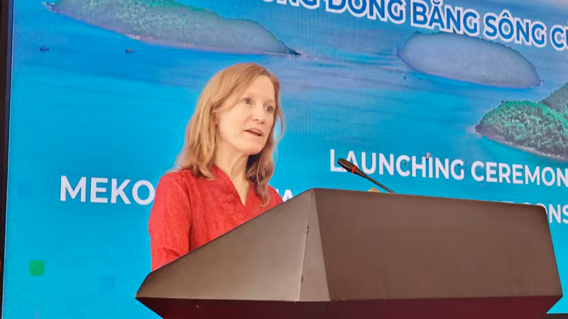 Giám đốc USAID Việt Nam Aler Grubbs phát biểu.