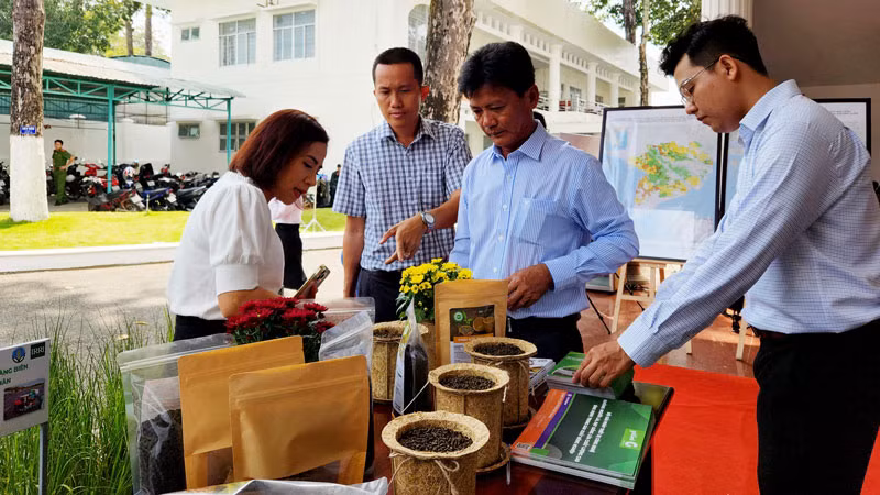 Đại biểu tham quan mô hình tận dụng từ rơm. Đại biểu tham quan mô hình tận dụng từ rơm.