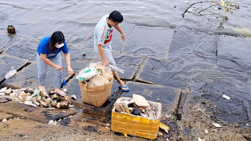 Công chức, viên chức và nhân dân thành phố Phú Quốc, tỉnh Kiên Giang thu gom rác ven biển. 