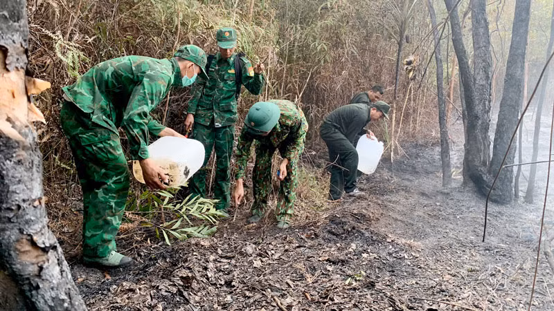 Cán bộ, chiến sĩ Biên phòng Xà Lực ngăn đám cháy ở bìa rừng lan sang Vườn quốc gia Phú Quốc.