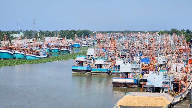 Tàu cá neo đậu tại huyện Châu Thành, tỉnh Kiên Giang.