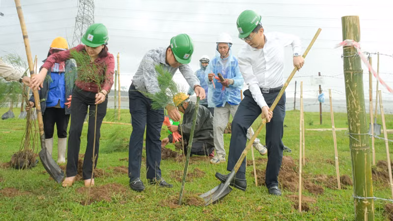 Các đại biểu trồng cây xanh tại Vườn cây Công đoàn dầu khí, Nhà máy Nhiệt điện Thái Bình 2.