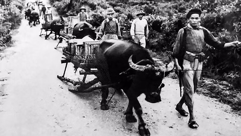 Sự đóng góp to lớn của lực lượng dân công, bảo đảm hậu cần cho chiến dịch là một trong những nguyên nhân chính làm nên Chiến thắng Điện Biên Phủ. (Ảnh tư liệu)